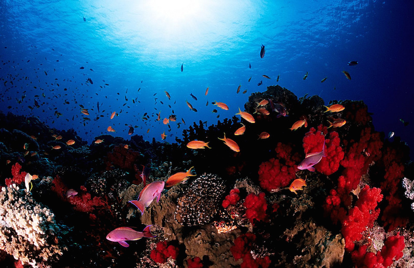 Taveuni