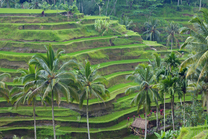 # 1 de los mejores lugares para visitar en Bali