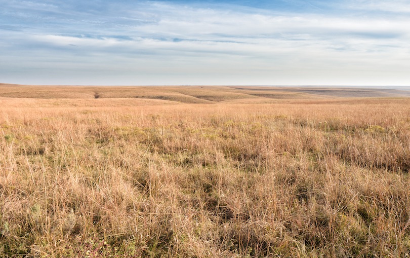 Reserva Nacional Tallgrass Prairie
