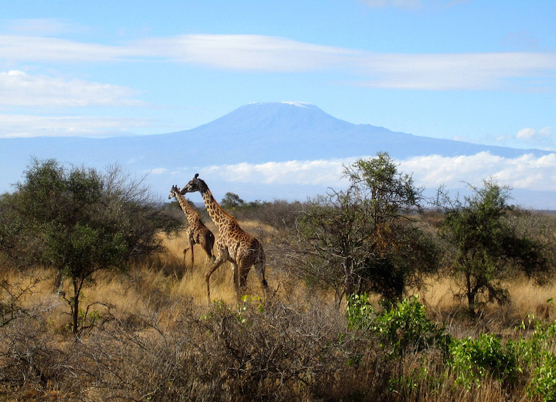 Parque Nacional Amboseli