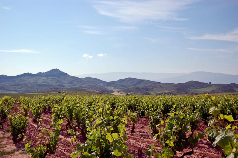 Región vinícola de Rioja