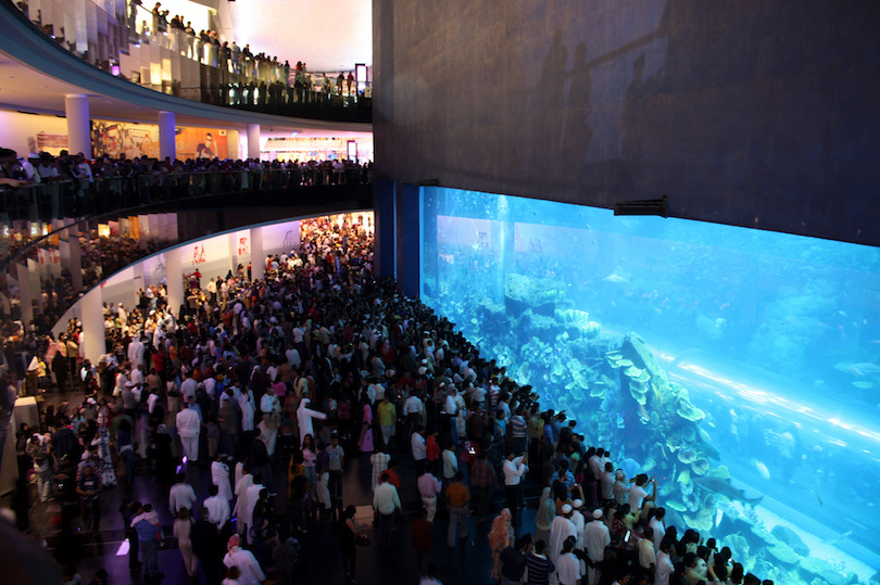 Acuario Dubai Mall