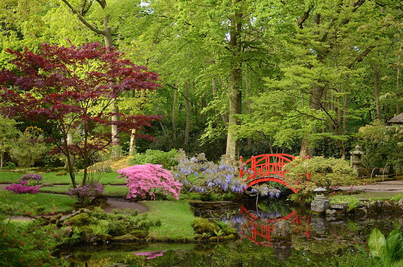 Japanese Garden at Clingendael