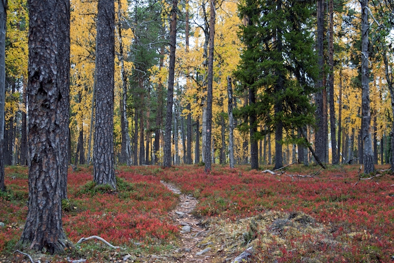 # 1 de parques nacionales en Finlandia