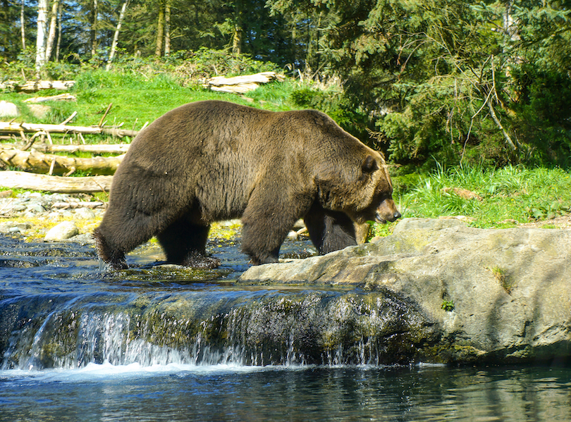 Waldpark-Zoo Waldpark-Zoo