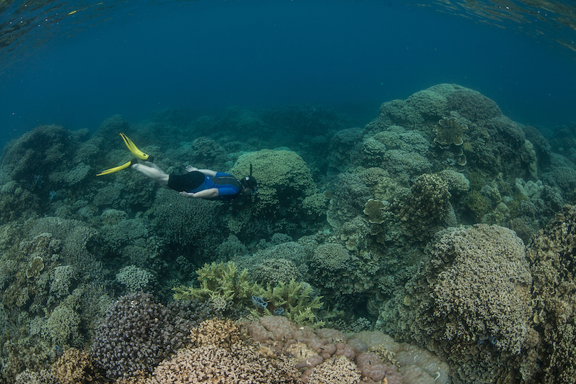 Palau Dive Spots