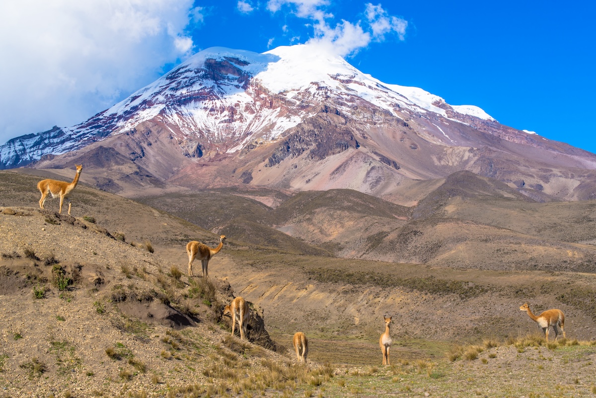 Chimborazo