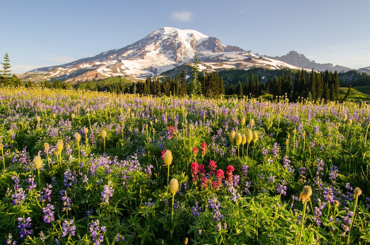 Mount Rainier