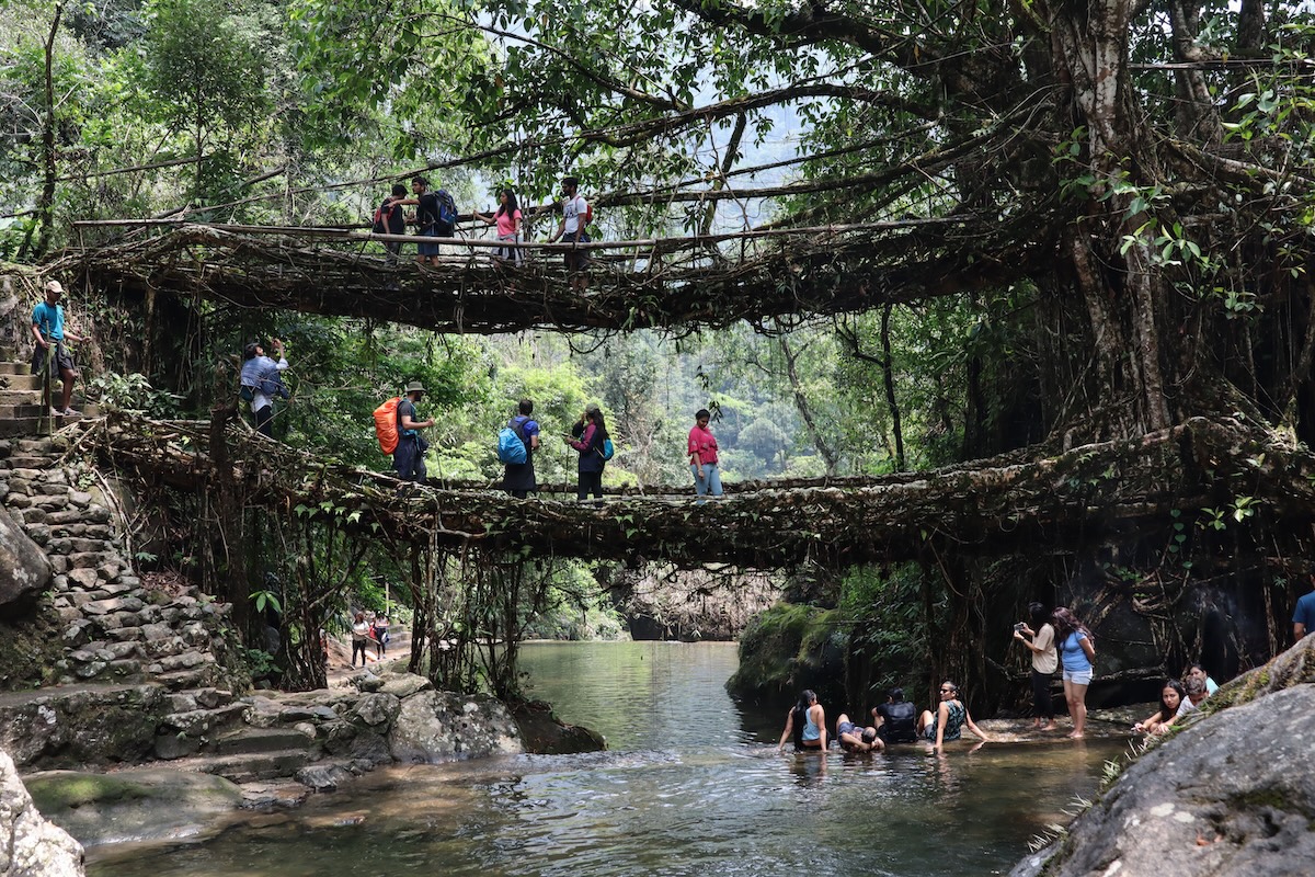 Root Bridge