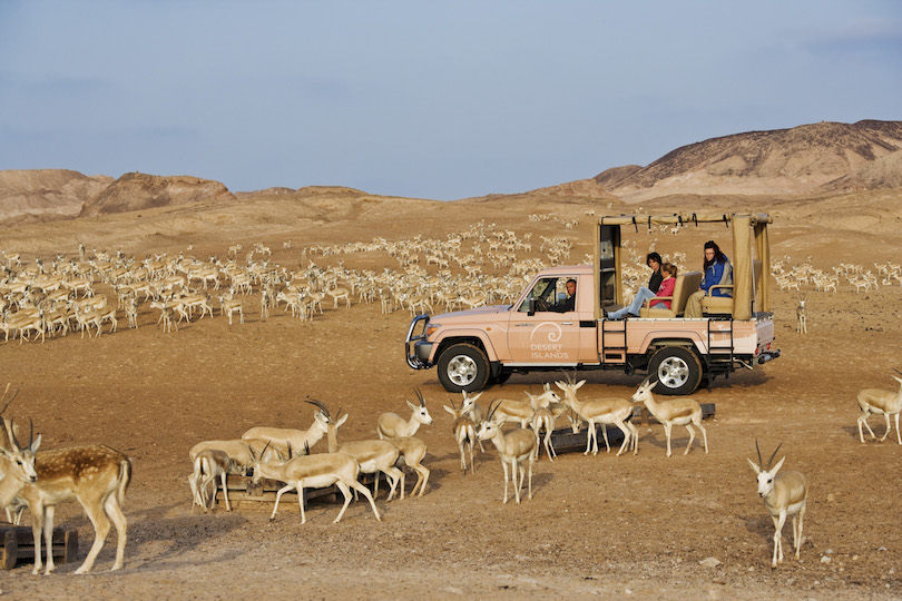 Sir Bani Yas