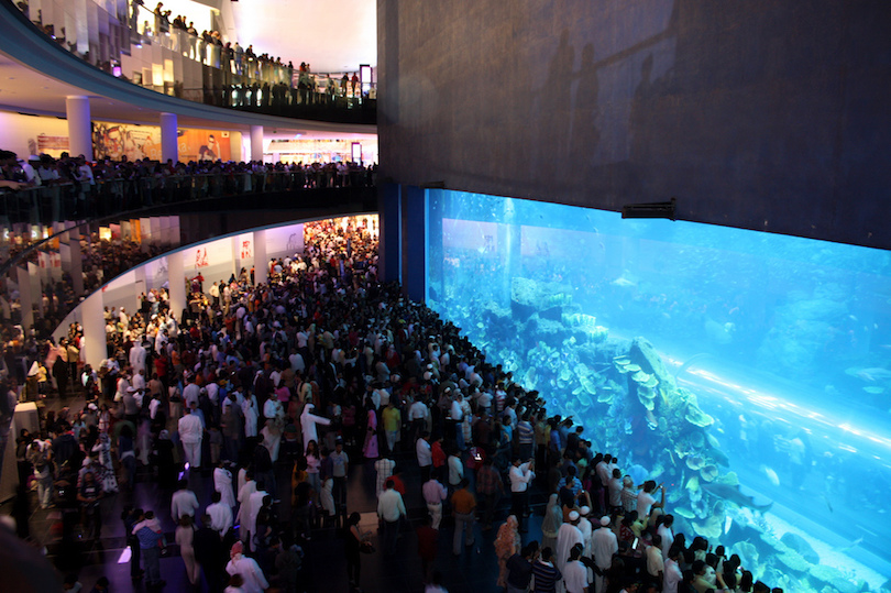 Dubai Mall Aquarium