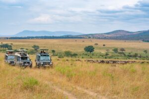 Things to do in Kenya