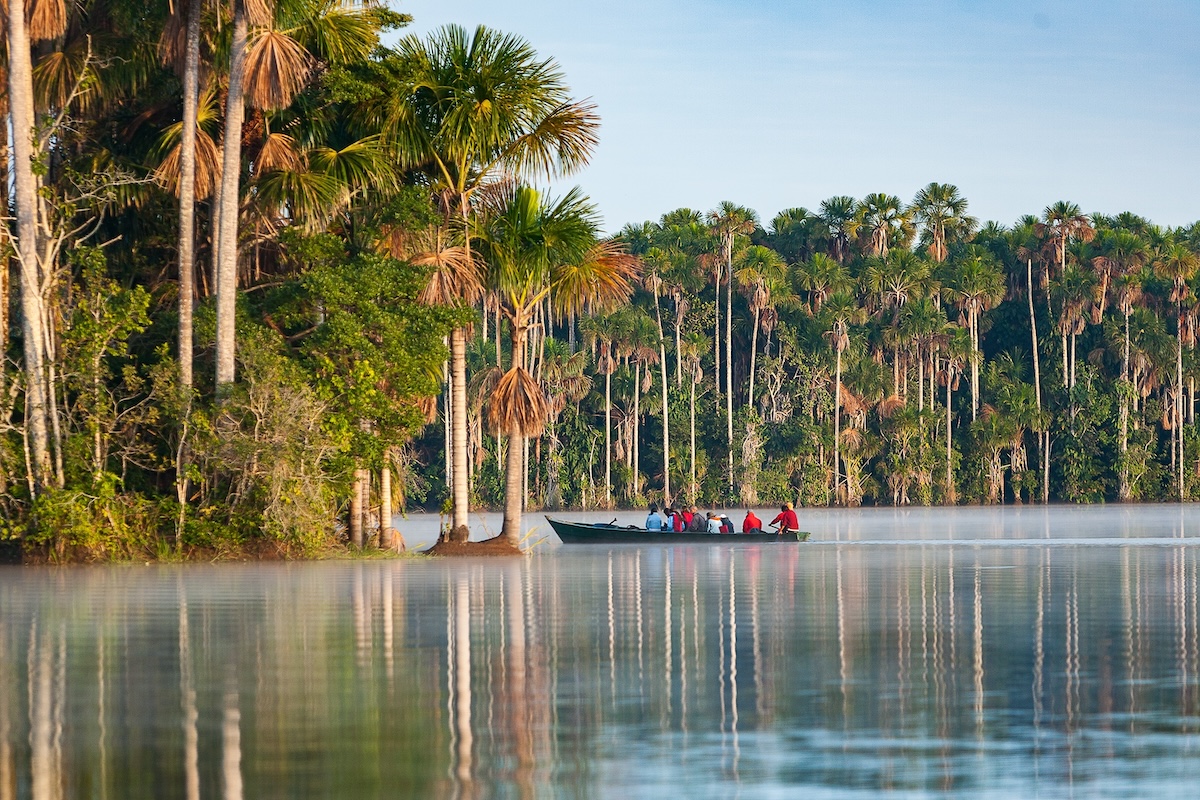 Amazon Rainforest