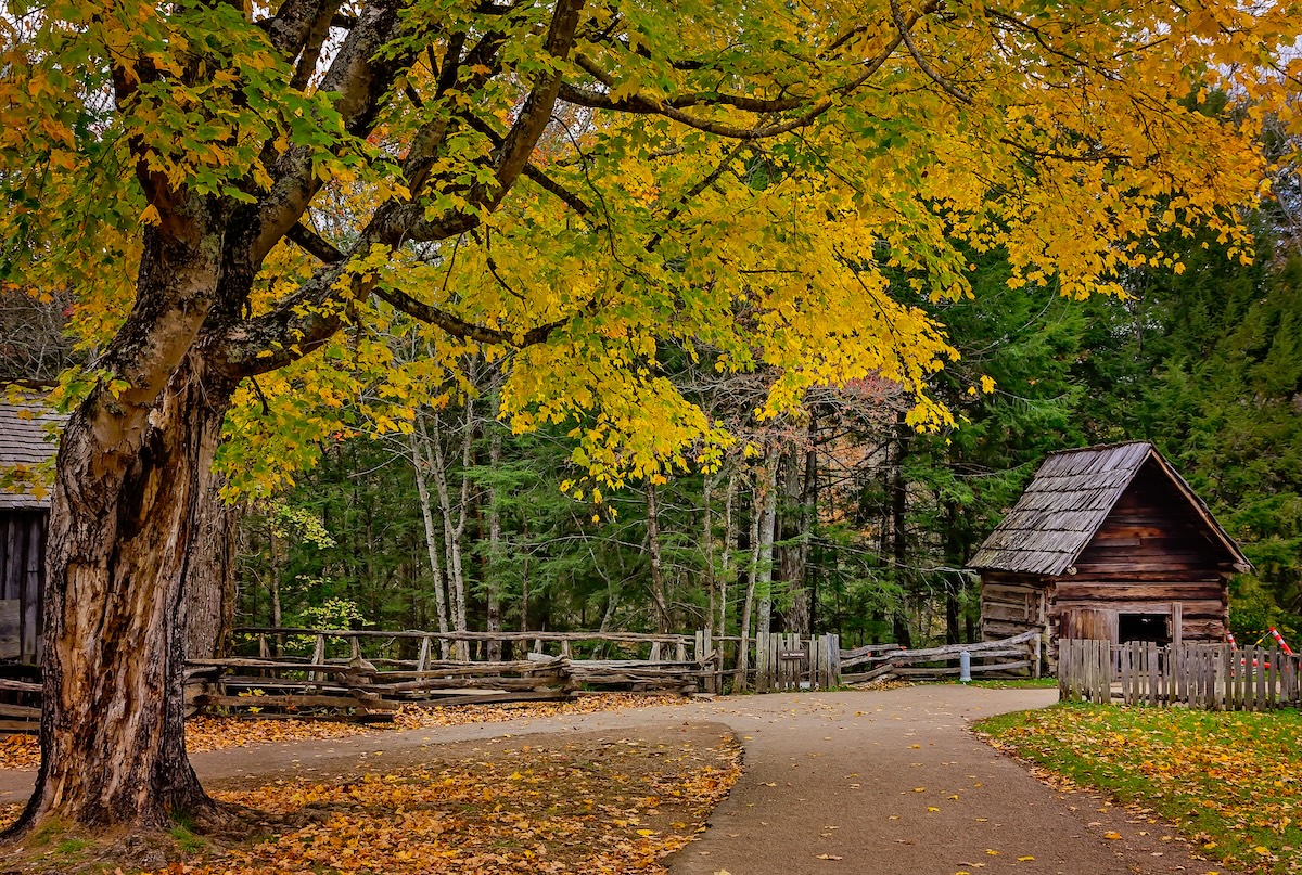 Great Smoky Mountains National Park
