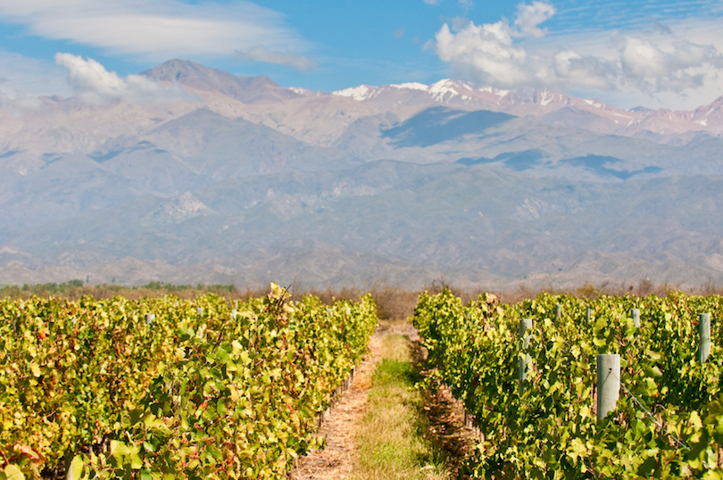 Mendoza Wine Regions