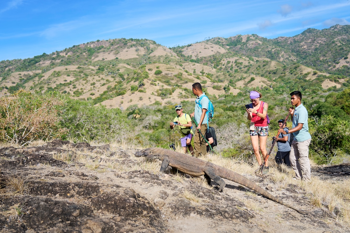 Komodo National Park