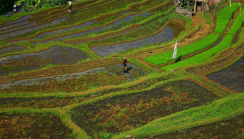 indonesian tourist island