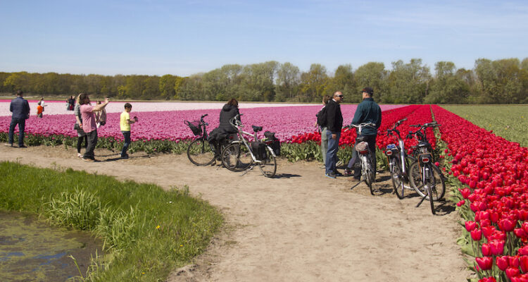 Tourist Attractions in the Netherlands