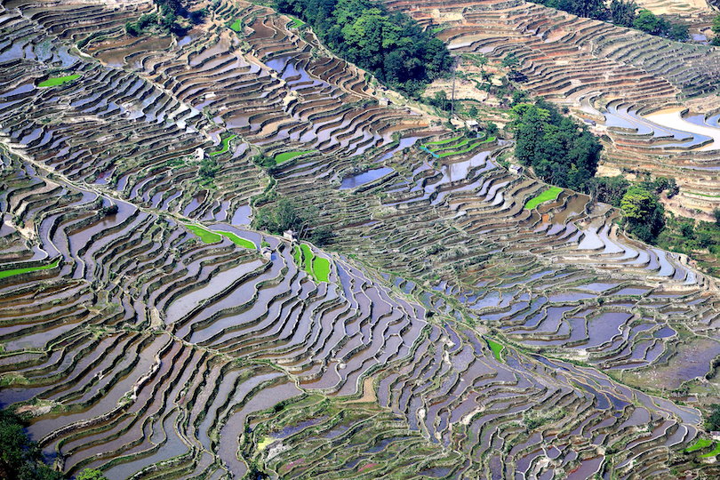 Hani Terraces