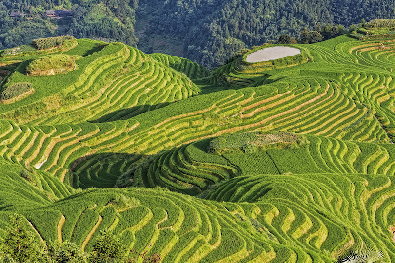 Longji Terraces