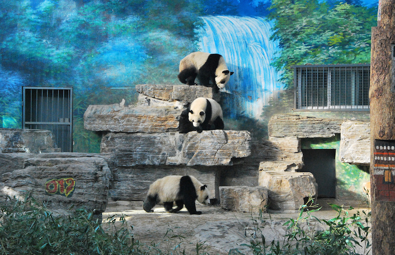 8 Largest Zoos in the World (with Photos) - Touropia