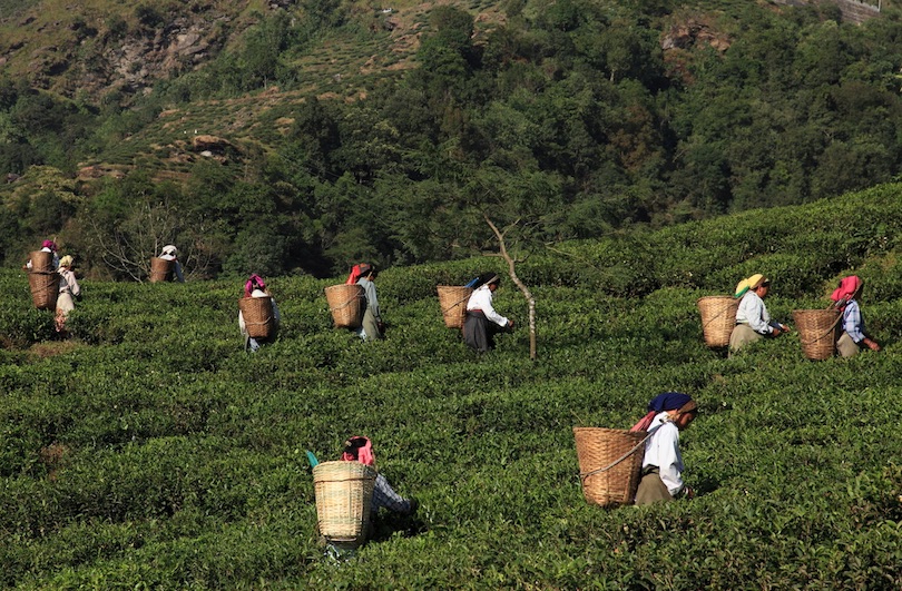 Darjeeling