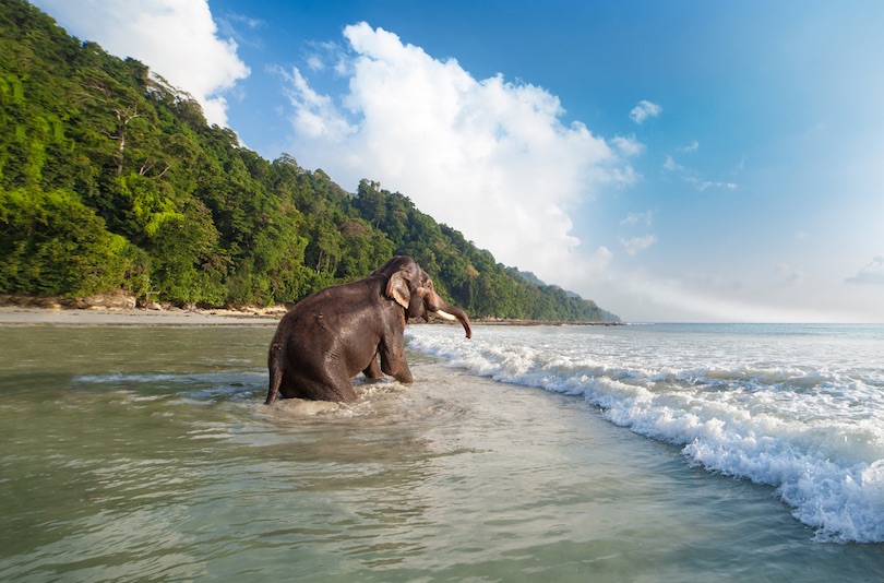 Havelock Island