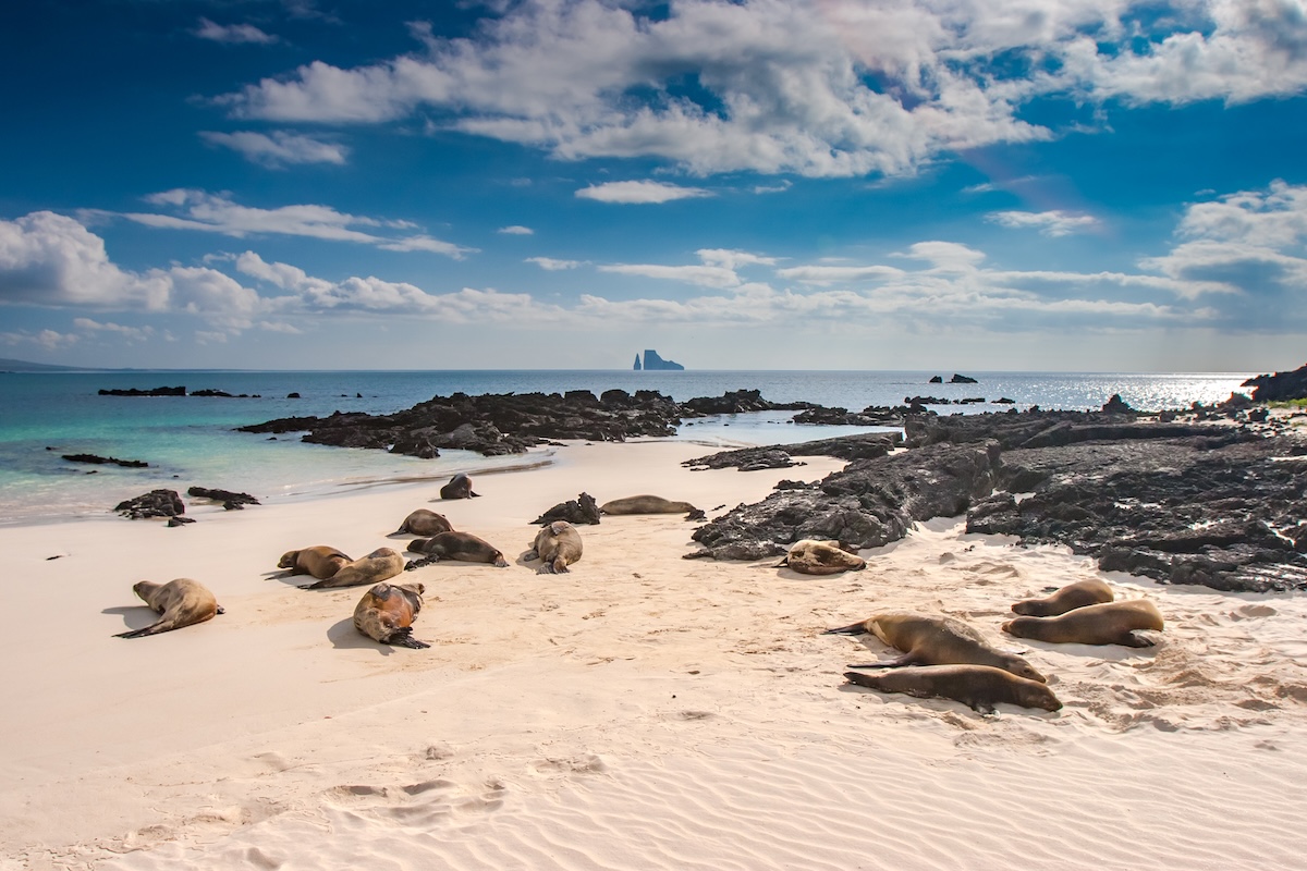 Galapagos Islands
