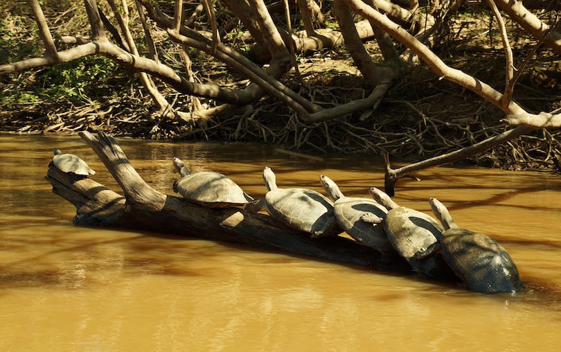 Madidi National Park