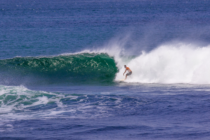 Surfing in Santa Catalina