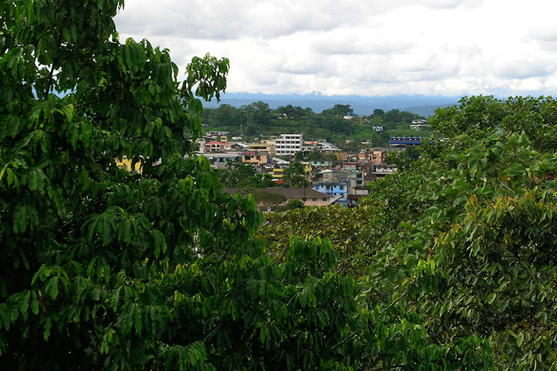 Tena