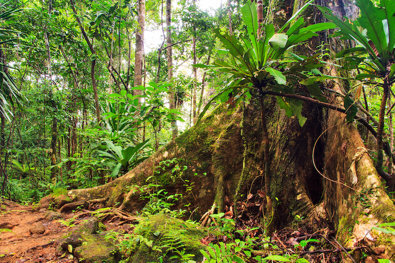 Masoala National Park