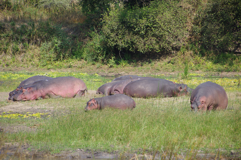 Katavi National Park