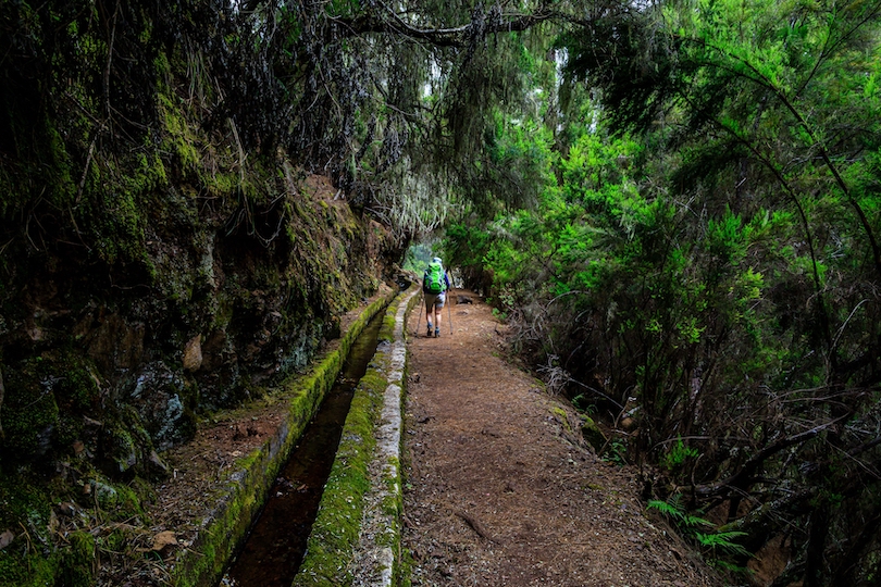 La Palma