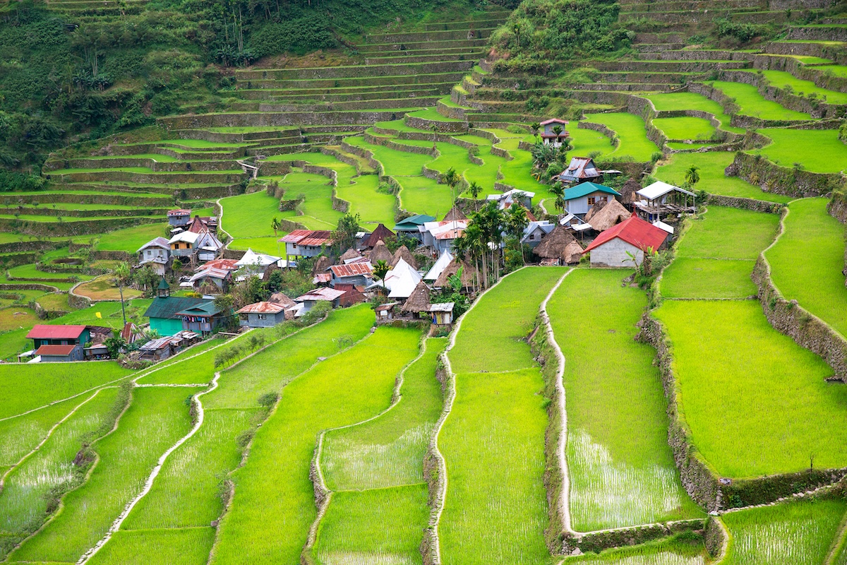 Banaue Rice Terraces