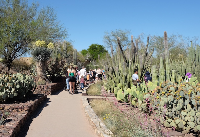 Desert Botanical Garden