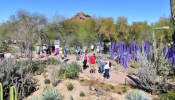 Desert Botanical Garden