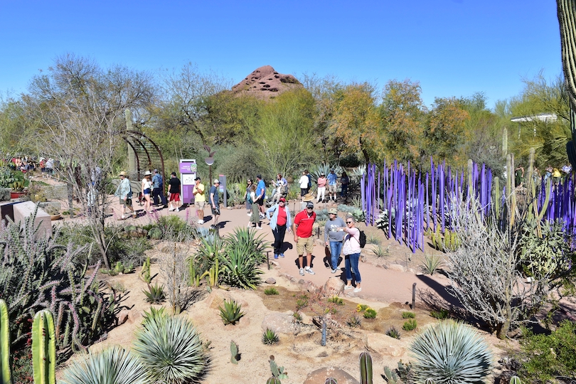 Desert Botanical Garden