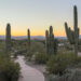 Tourist Attractions in Arizona