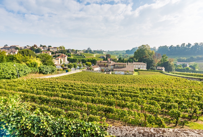 Bordeaux vineyard