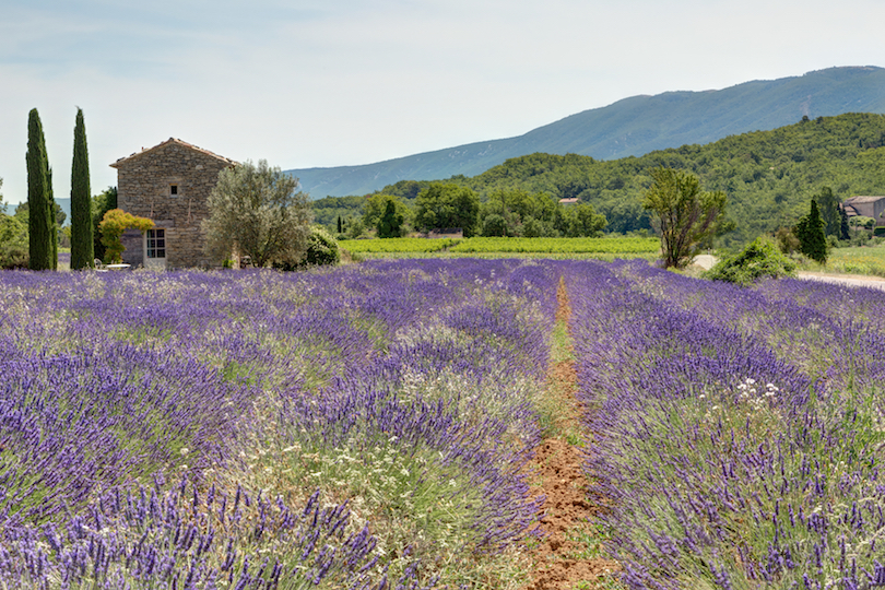 Luberon