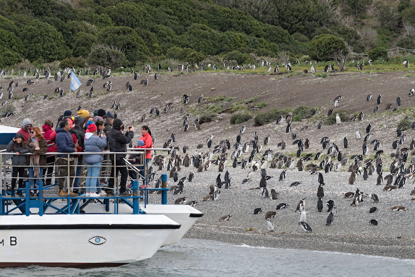 Beagle Channel