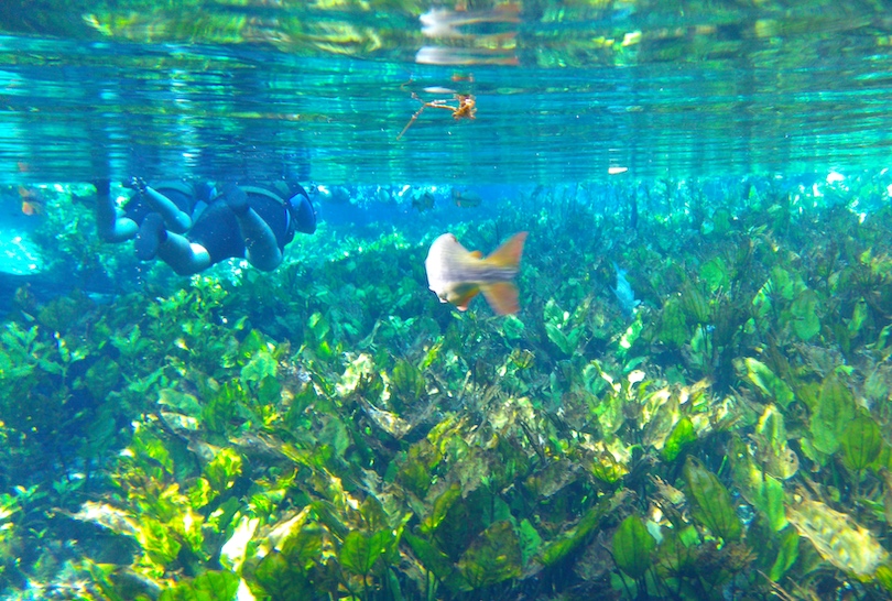 travel destinations in brazil Bonito