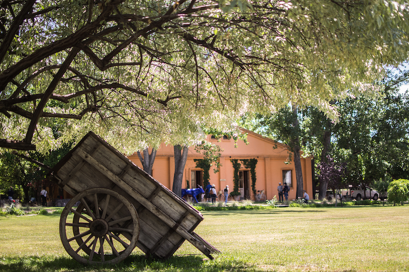 winery in Mendoza