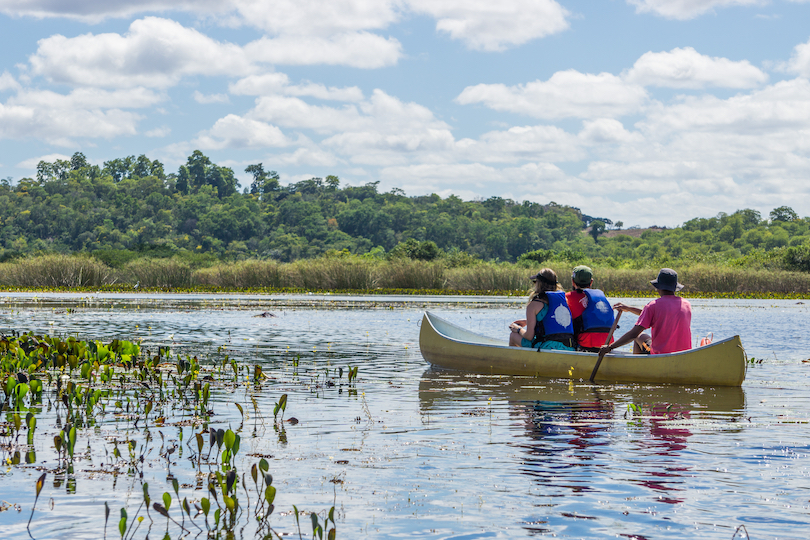 travel destinations in brazil Pantanal