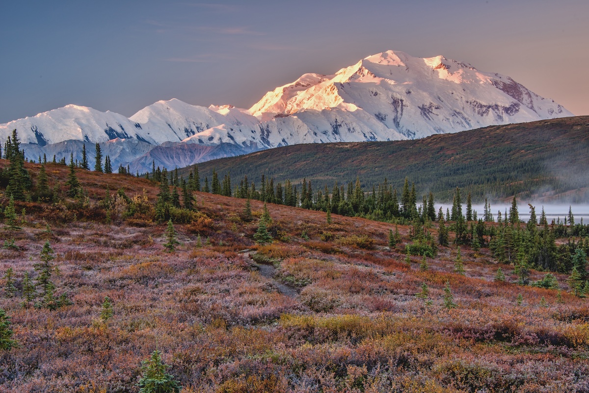 Denali National Park