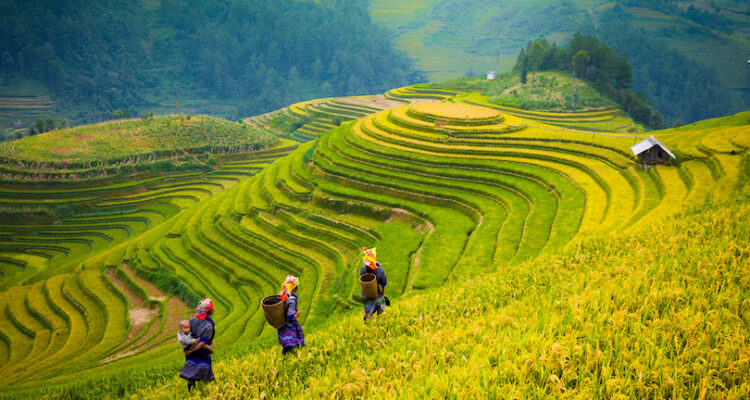 Best Places to Visit in Vietnam
