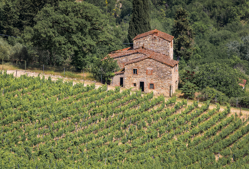 Chianti Wine Region