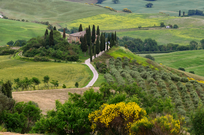 Val d'Orcia