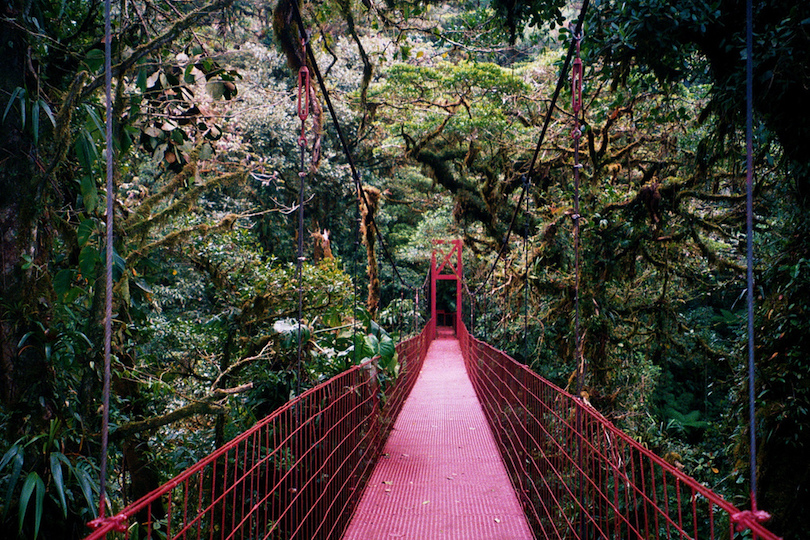 Monteverde Cloud Forest Reserve
